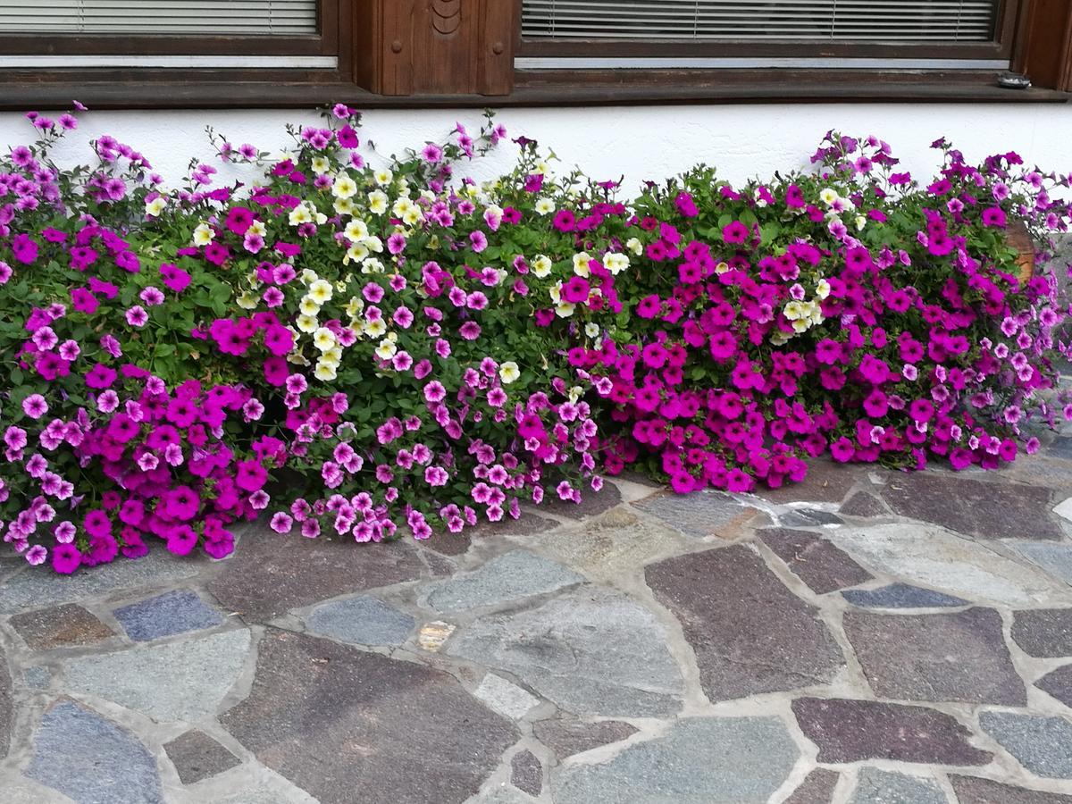 דירות ניוסטיפט אים סטובאיטל Haus Waldesruh מראה חיצוני תמונה